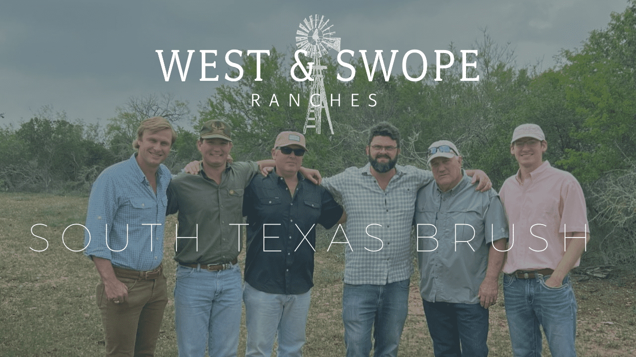 South Texas Brush Diversity Medina County